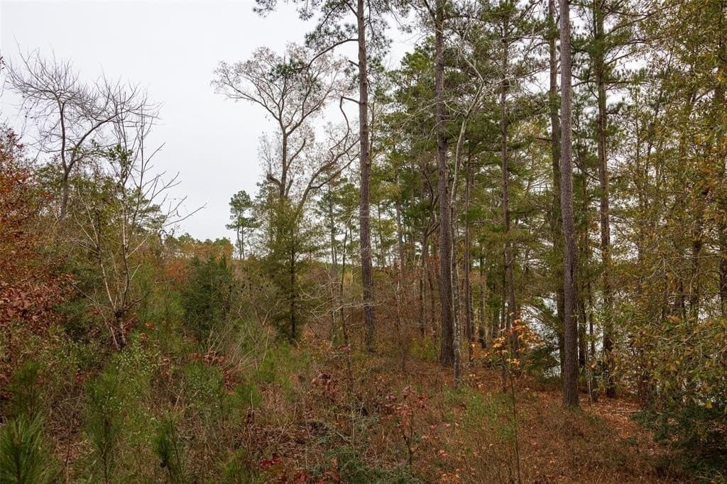 88.84 acres in Shelby County - photo 13