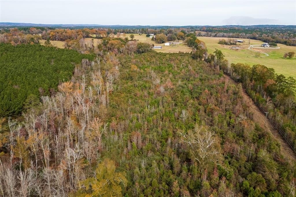 88.84 acres in Shelby County - photo 22