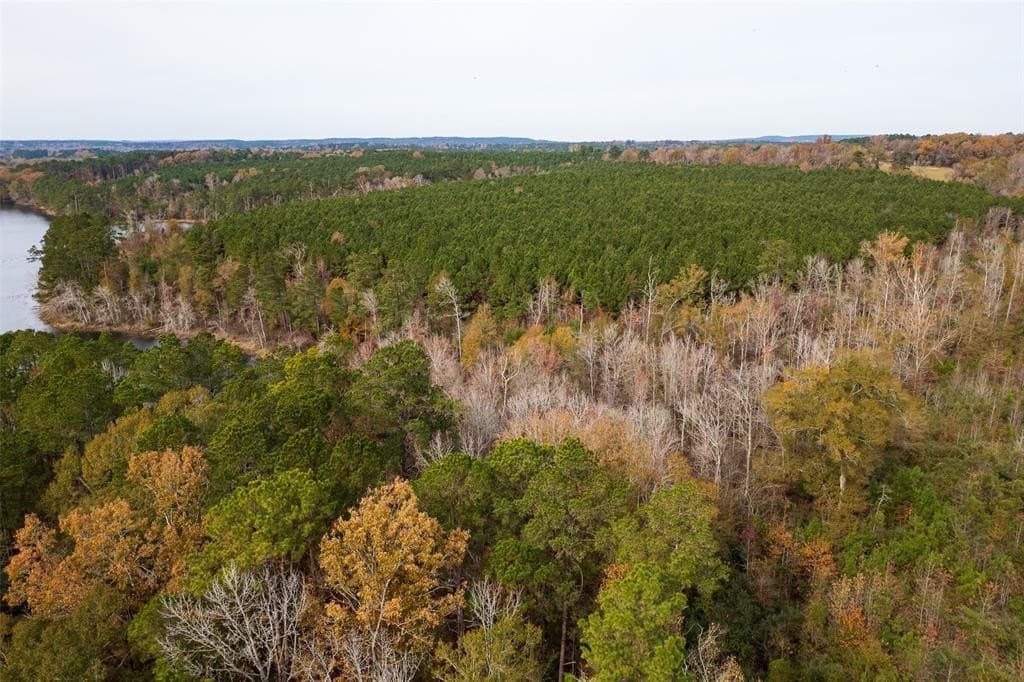 88.84 acres in Shelby County - photo 14