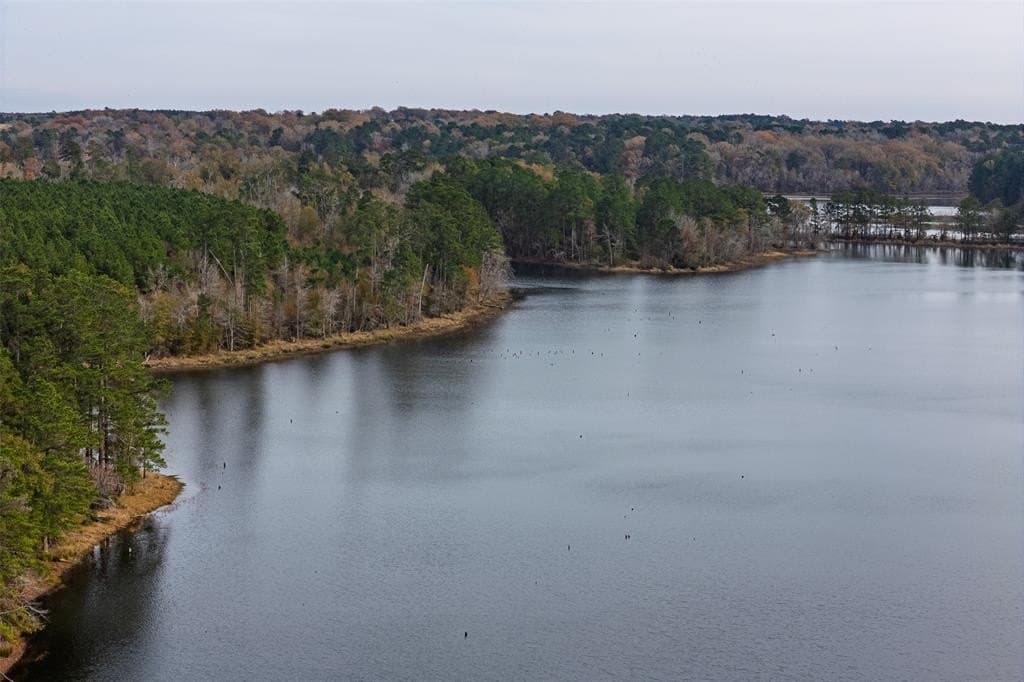 88.84 acres in Shelby County - photo 5