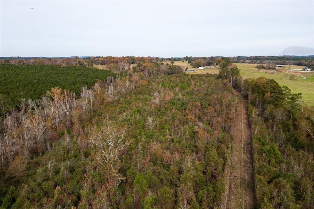 88.84 acres in Shelby County - photo 15