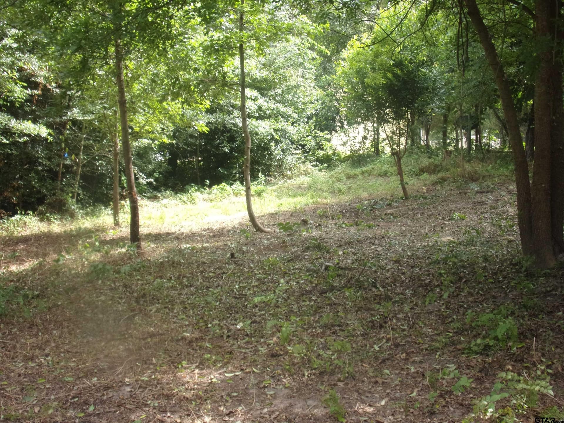 0.36 acres in Van Zandt County - photo 3