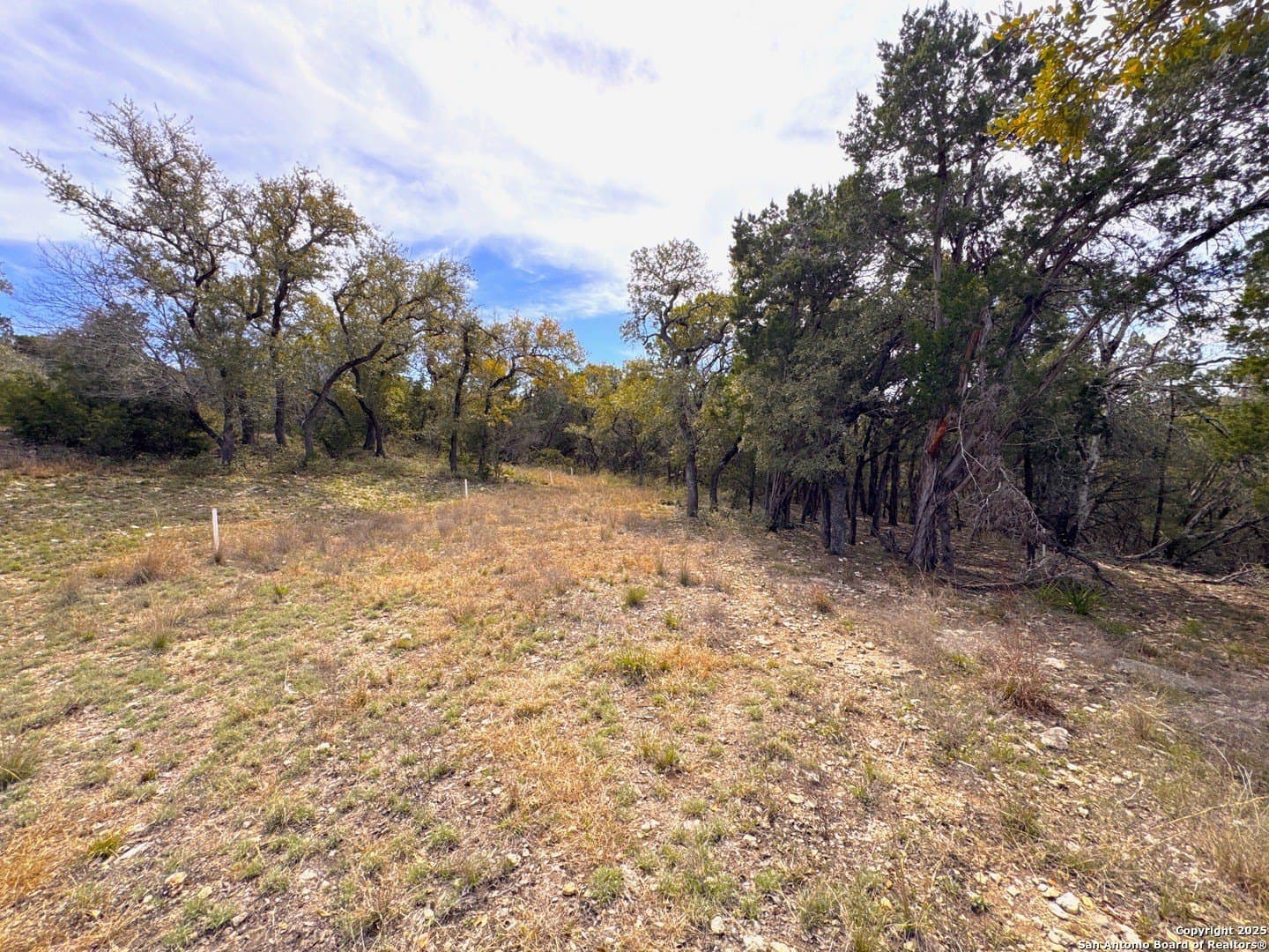2.2 acres in Comal County - photo 8