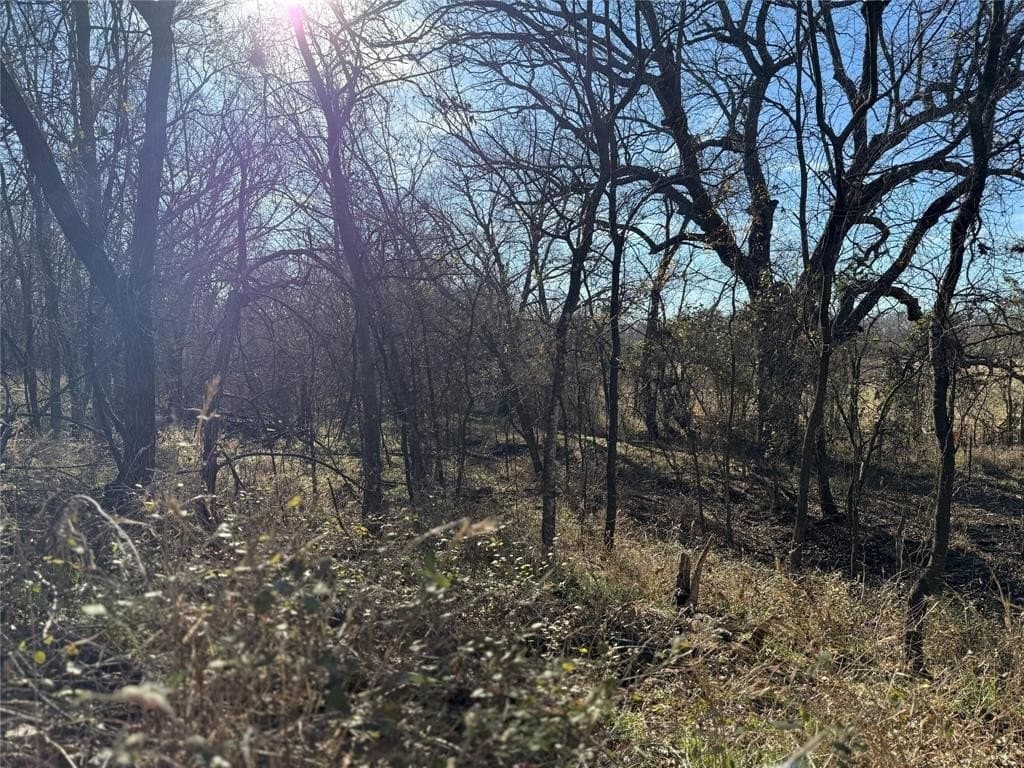 5 acres in Cooke County - photo 17