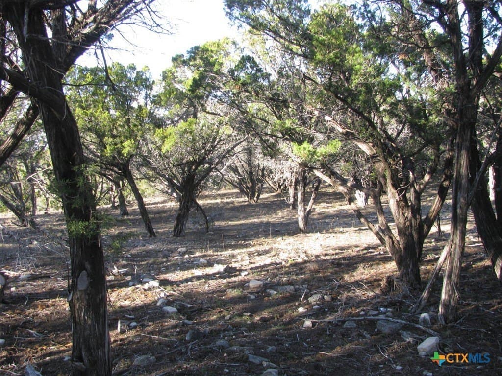 12.08 acres in Coryell County - photo 12