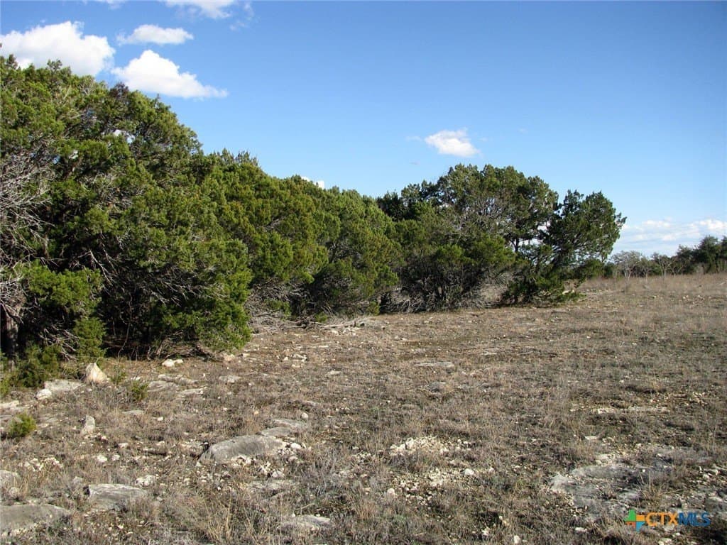 12.08 acres in Coryell County - photo 11