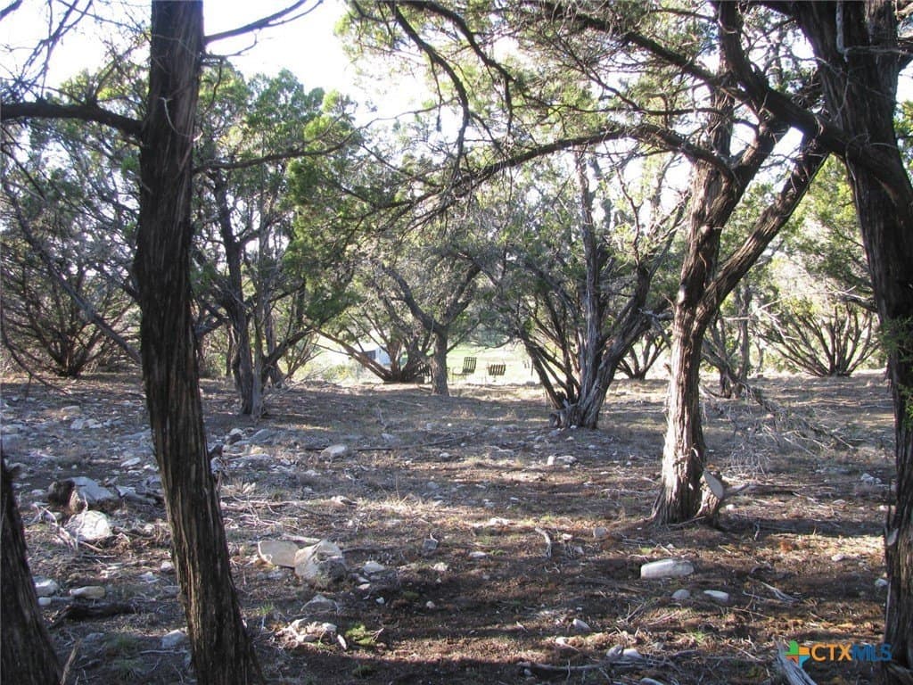 12.08 acres in Coryell County - photo 13