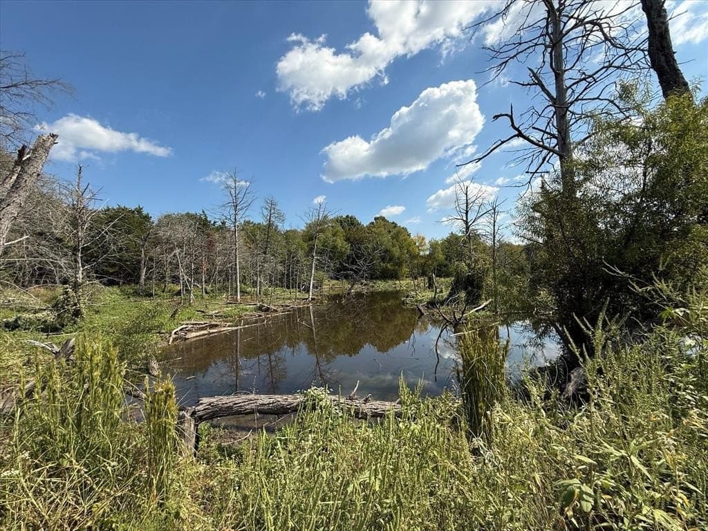 49 acres in Kaufman County - photo 5