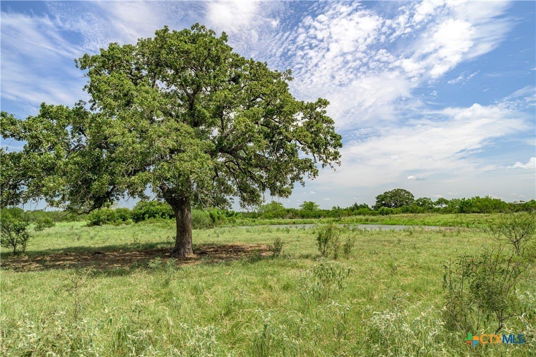 127.37 acres in Fayette County - photo 5