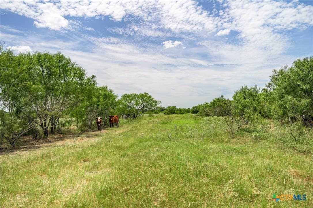 127.37 acres in Fayette County - photo 3