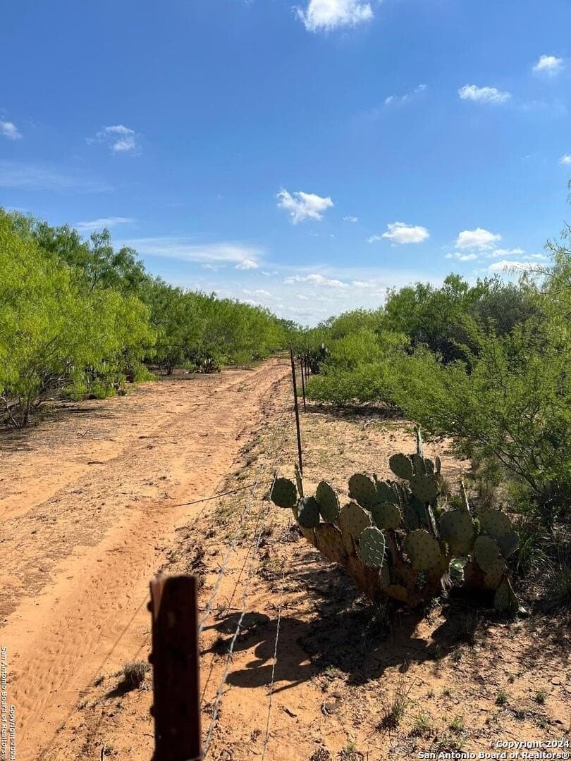 15 acres in Frio County - photo 8