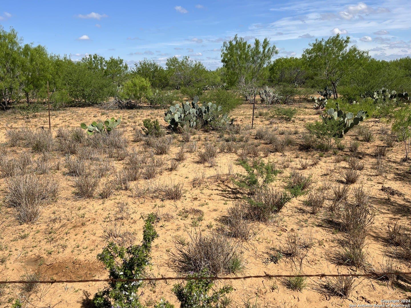 15 acres in Frio County - photo 7