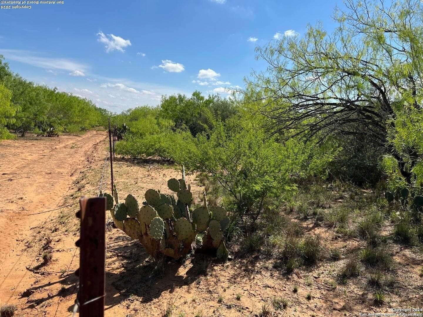 15 acres in Frio County - photo 9