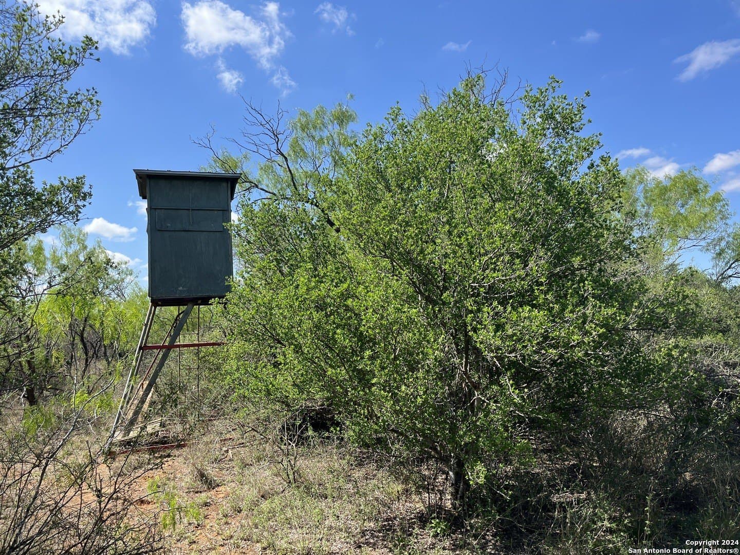 15 acres in Frio County - photo 12