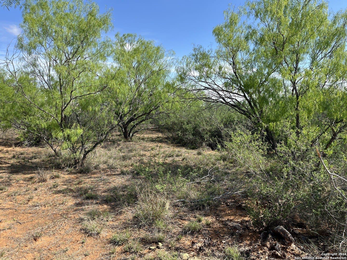 15 acres in Frio County - photo 4
