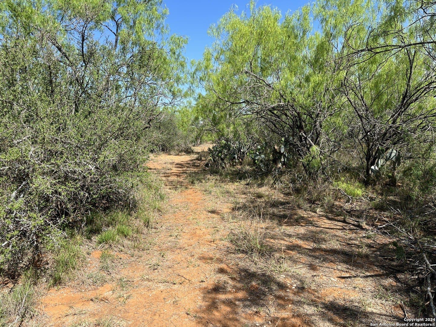 15 acres in Frio County - photo 2