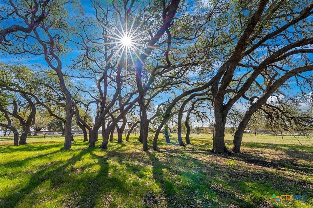 20 acres in Comal County - photo 39