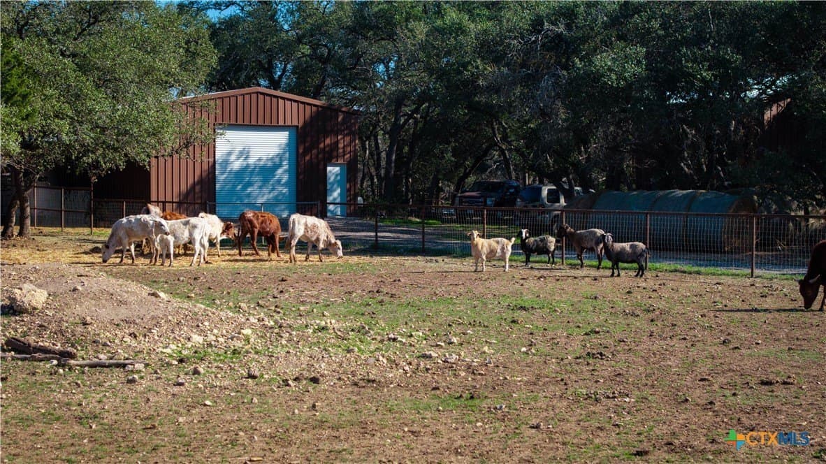 20 acres in Comal County - photo 27