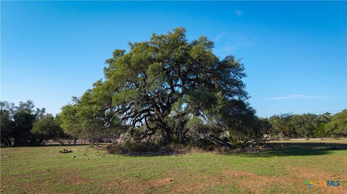 20 acres in Comal County - photo 24