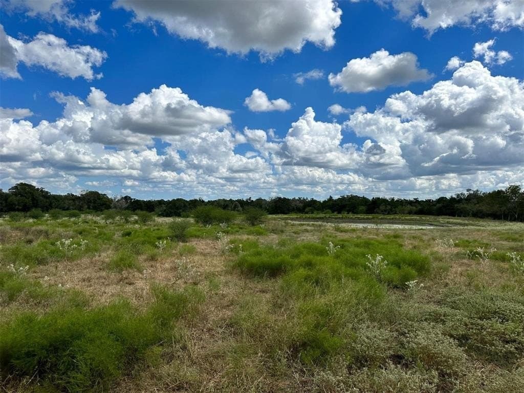 22 acres in Lavaca County - photo 5