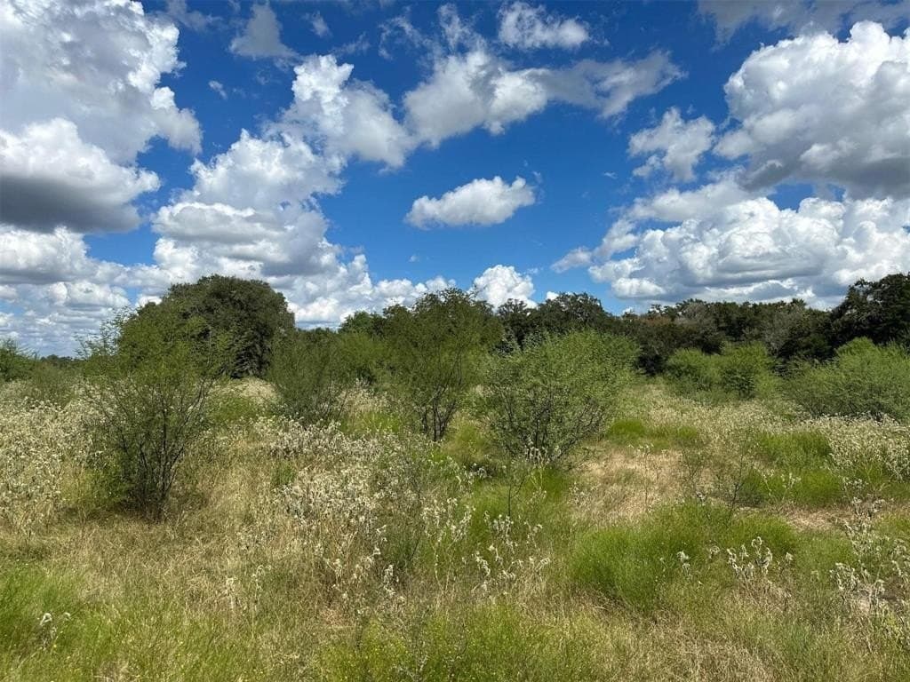 22 acres in Lavaca County - photo 24