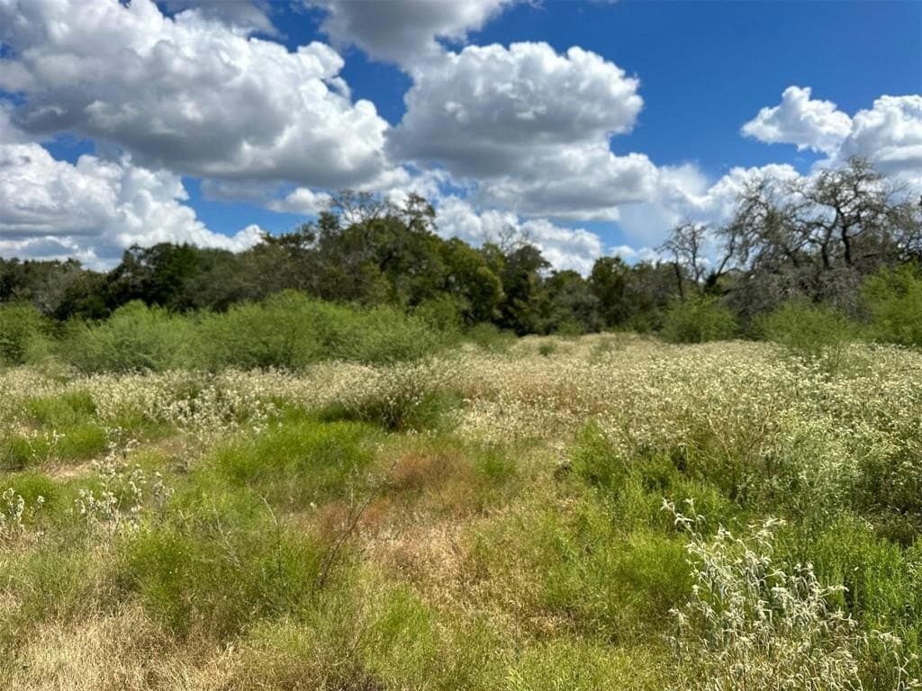 22 acres in Lavaca County - photo 11
