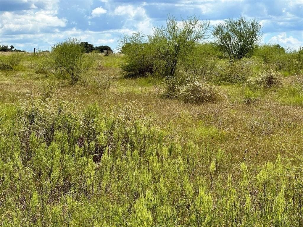 22 acres in Lavaca County - photo 20