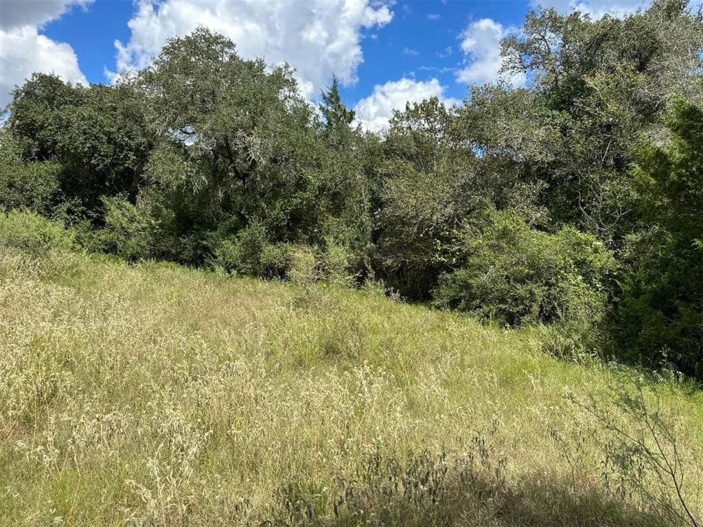 22 acres in Lavaca County - photo 13