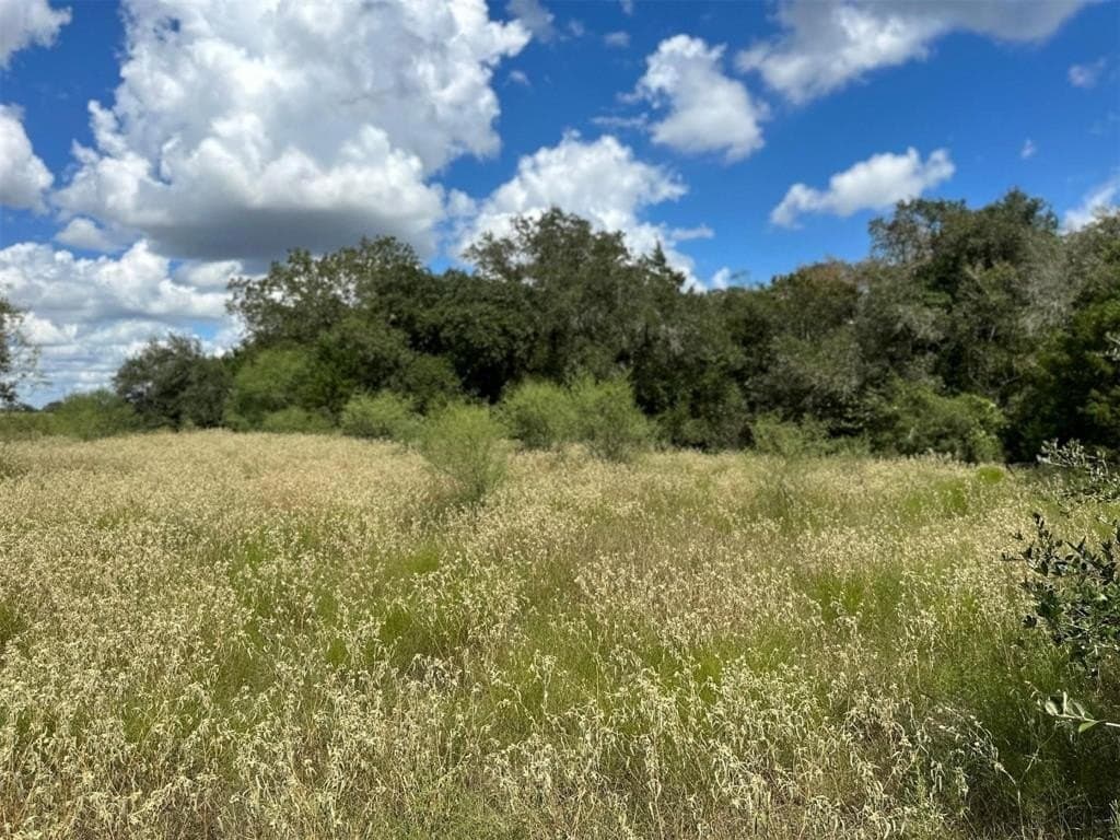22 acres in Lavaca County - photo 25