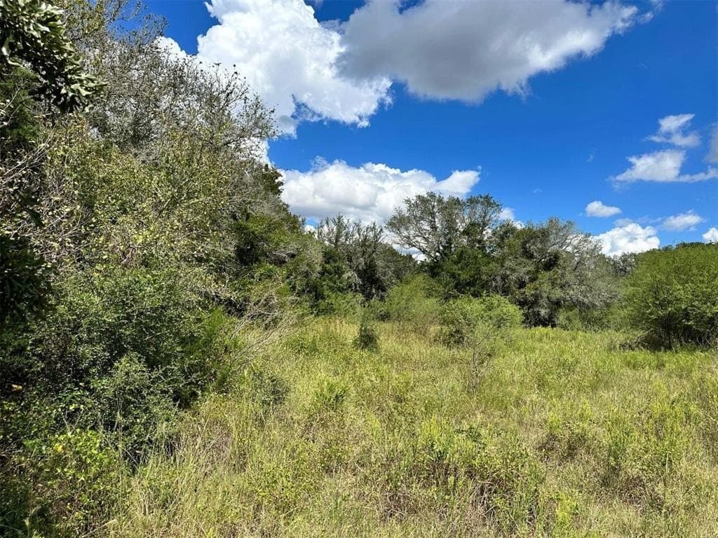 22 acres in Lavaca County - photo 26