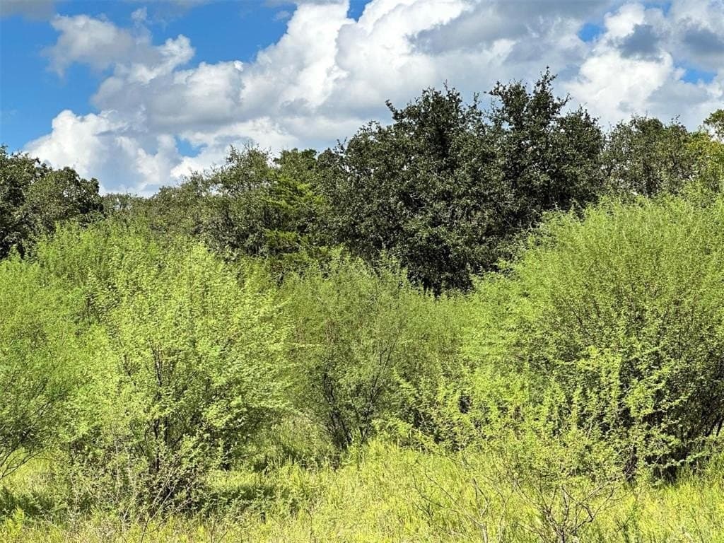 22 acres in Lavaca County - photo 3