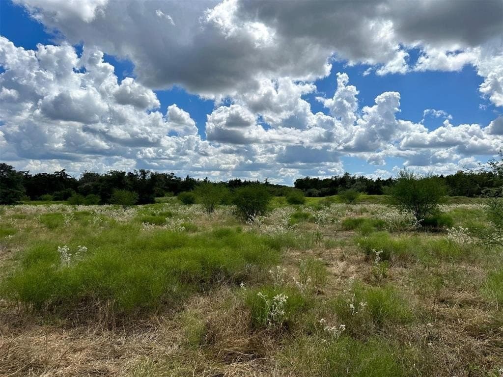 22 acres in Lavaca County - photo 21