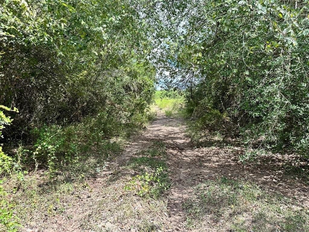 22 acres in Lavaca County - photo 17