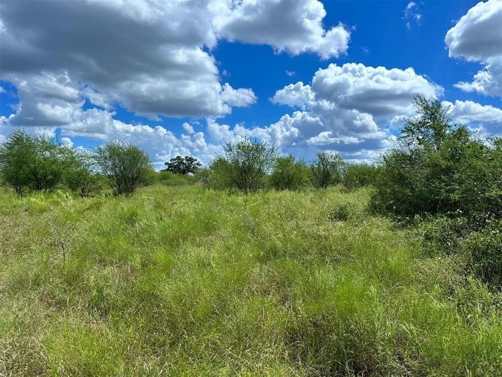 22 acres in Lavaca County - photo 16