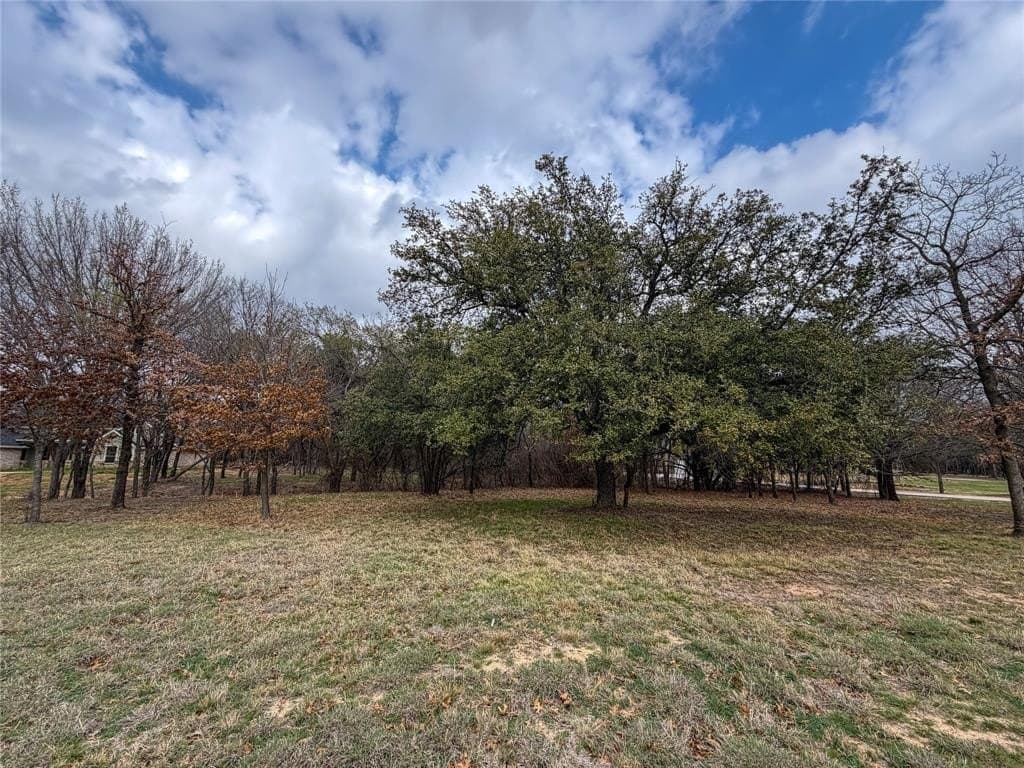 2.01 acres in Parker County - photo 2