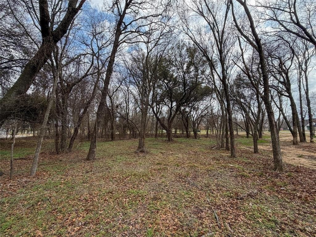 2.01 acres in Parker County - photo 23