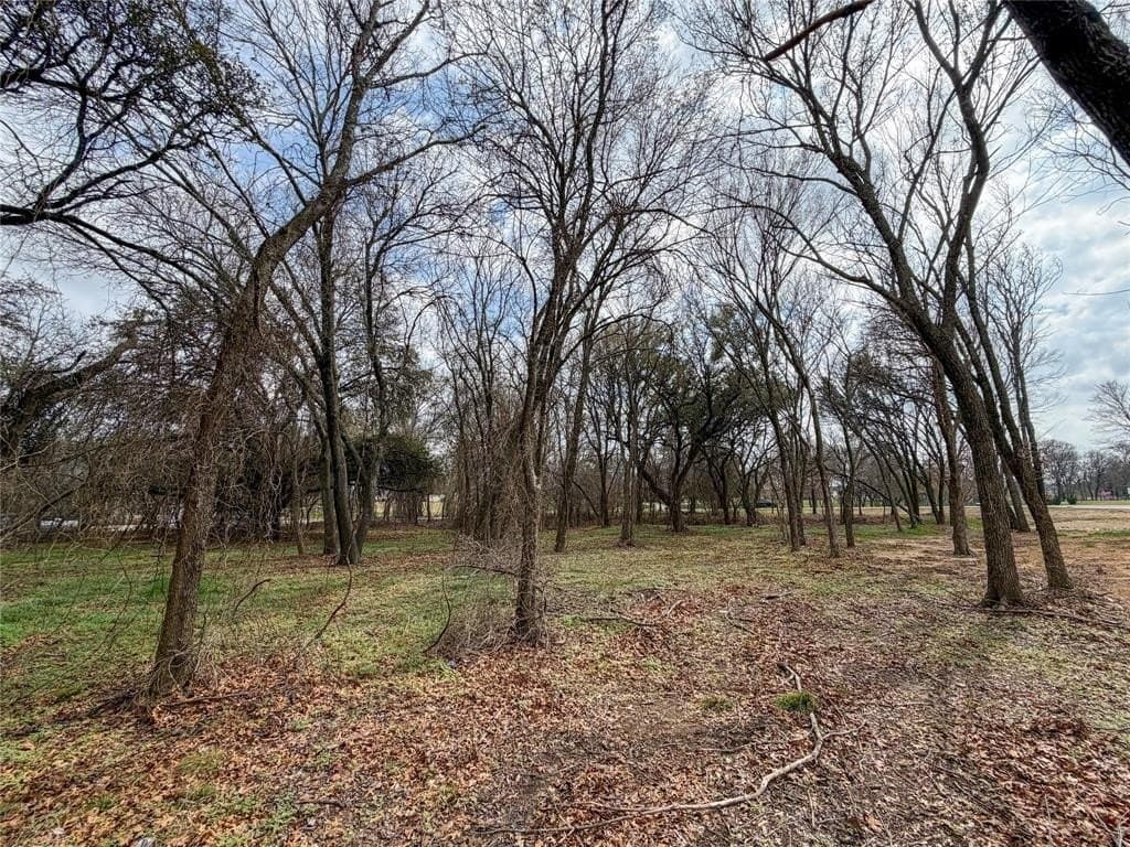 2.01 acres in Parker County - photo 22