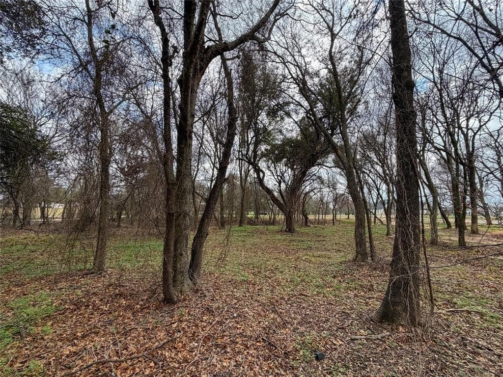 2.01 acres in Parker County - photo 26
