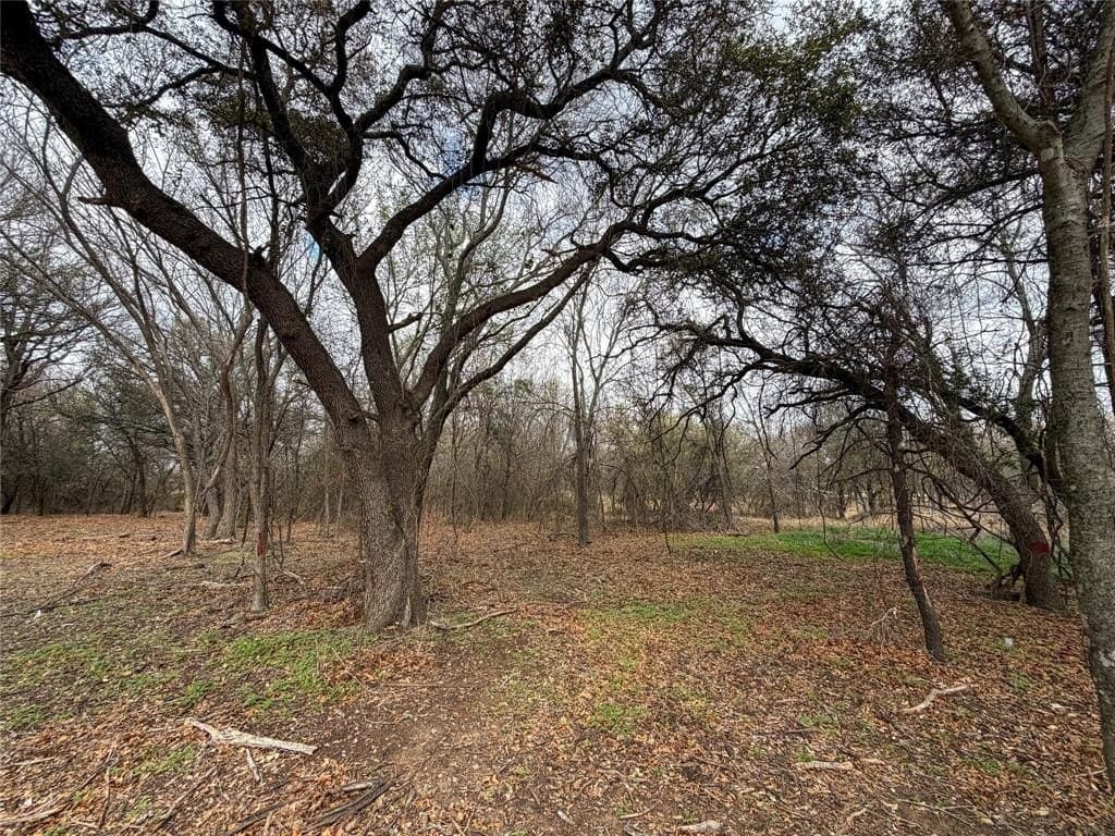 2.01 acres in Parker County - photo 21