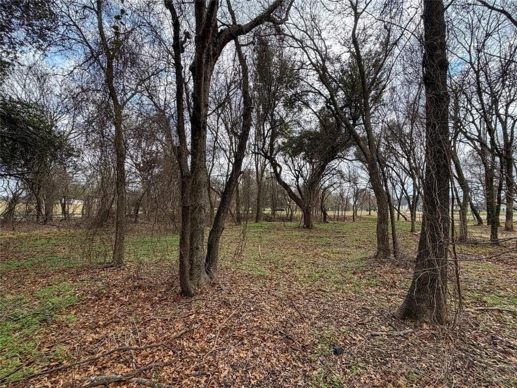 2.01 acres in Parker County - photo 25