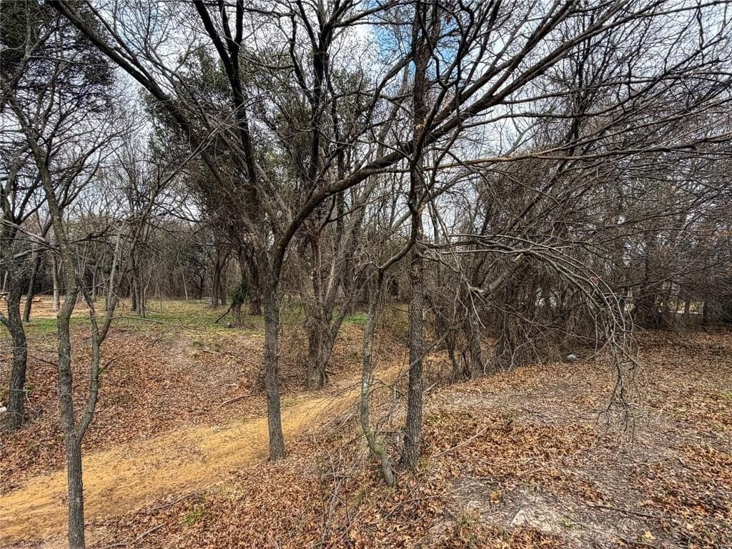 2.01 acres in Parker County - photo 30