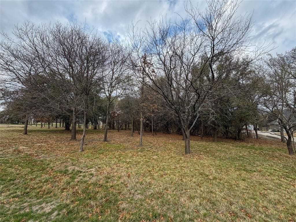 2.01 acres in Parker County - photo 31