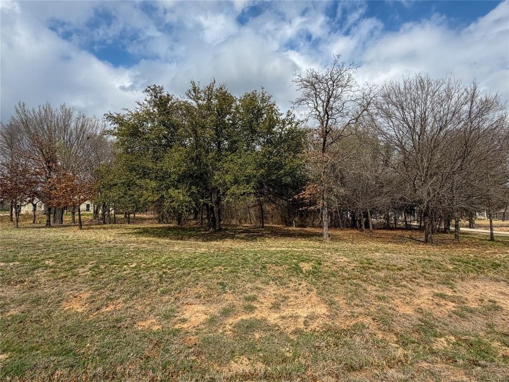 2.01 acres in Parker County - photo 15