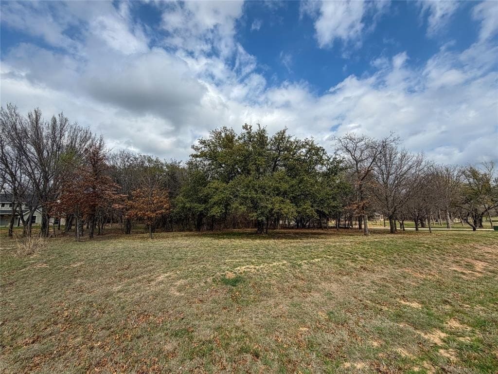 2.01 acres in Parker County - photo 16