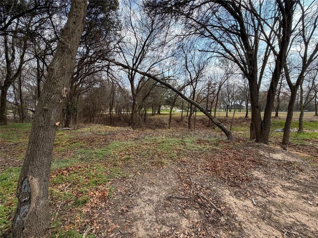 2.01 acres in Parker County - photo 19
