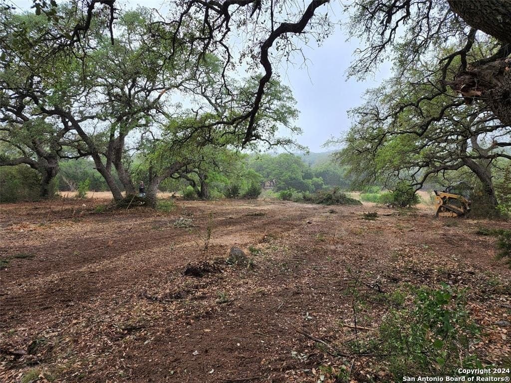 1.01 acres in Comal County - photo 6