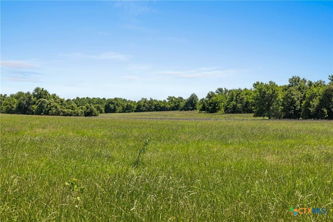 38 acres in Milam County - photo 3