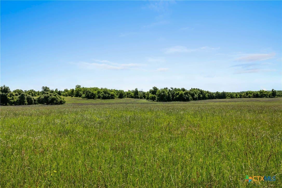 38 acres in Milam County - photo 5