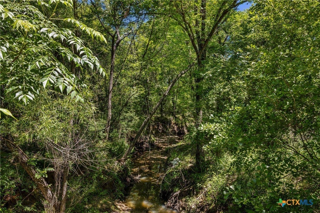 38 acres in Milam County - photo 9