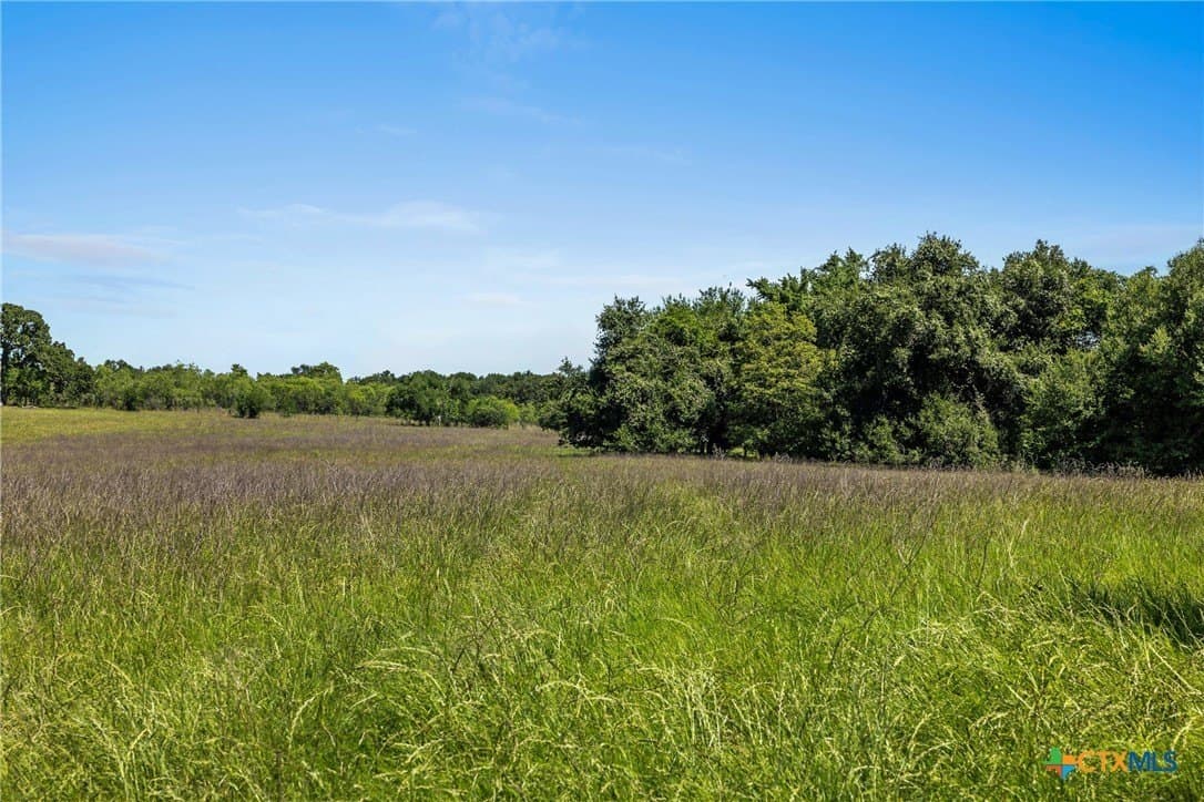 38 acres in Milam County - photo 6